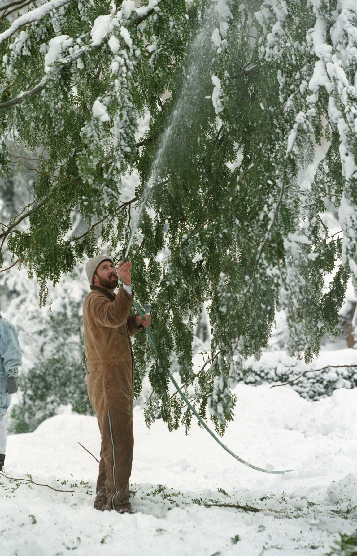 Dan Hauger tries a unique approach in an effort to loosen snow that threatened to snap the branches of neighbor Ken Gruidel's tree. The tree, which stands in the 4400 block of Hickory Street, was planted nine years before by Janna Gruidel.